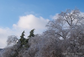 Picture 41