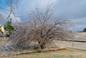 Picture 48