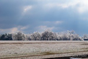 Picture 50