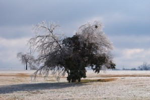 Picture 51