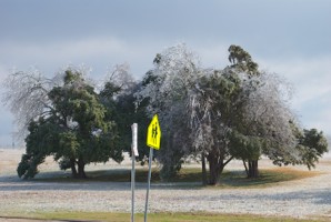 Picture 52