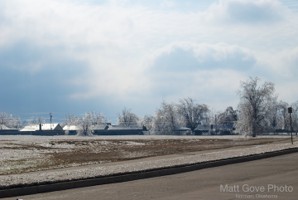 Picture 53