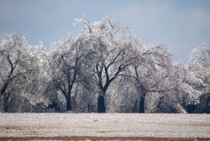 Picture 54