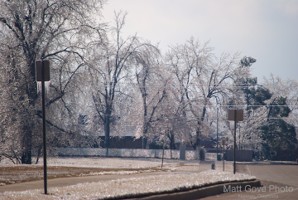 Picture 57