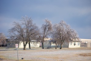 Picture 58