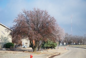 Picture 59