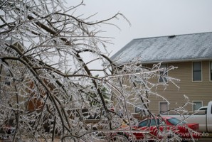 Picture 6