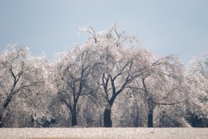 Picture 64