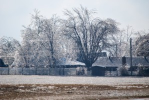 Picture 67