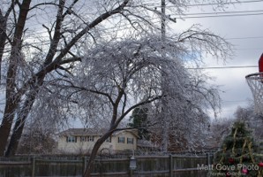 Picture 83
