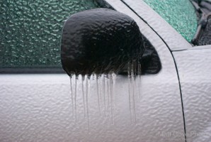 Picture 9