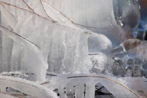 Picture 32