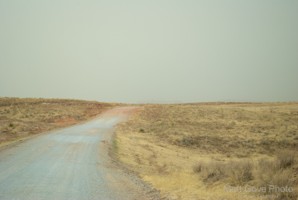 Picture 1