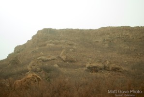 Picture 19
