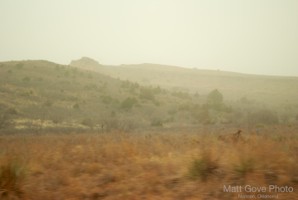 Picture 25