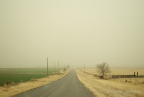 Picture 29