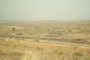 Picture 3