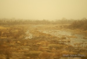 Picture 31