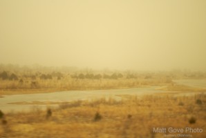 Picture 32