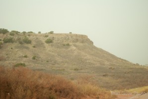 Picture 8