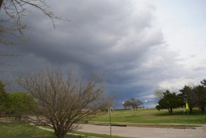 Picture 10