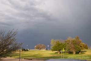 Picture 13