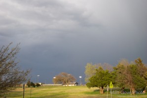 Picture 14