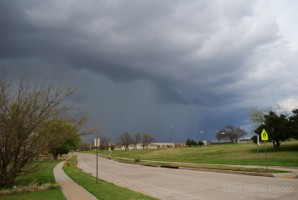Picture 8