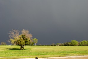 Picture 21