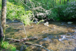 Picture 13