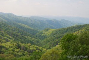 Picture 14