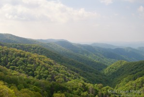 Picture 18