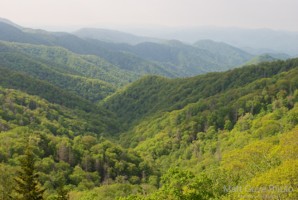 Picture 23