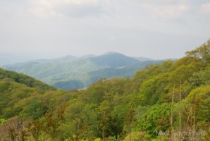 Picture 25