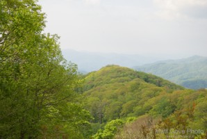 Picture 26