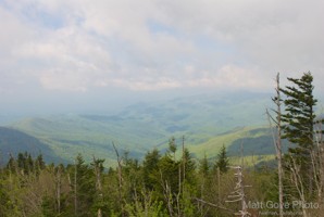 Picture 29