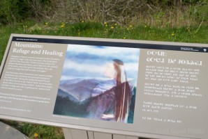Picture 30