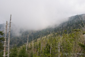 Picture 32
