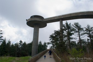 Picture 38