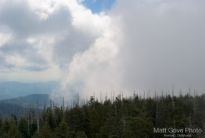 Picture 39