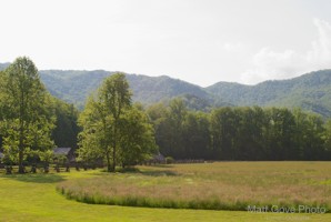 Picture 4