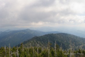 Picture 41