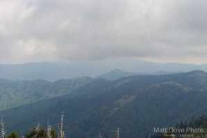 Picture 42