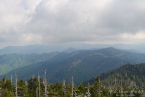 Picture 43