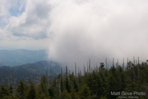 Picture 44