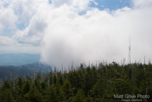 Picture 45