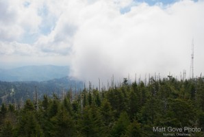 Picture 46