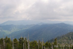 Picture 47