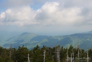 Picture 48