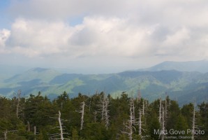 Picture 49
